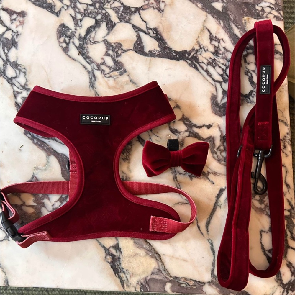 Red Velvet Harness, Leash & Bow Tie Set